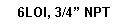 Text Box:  6LOI, 3/4� NPT