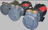Lobee liquid ring pumps